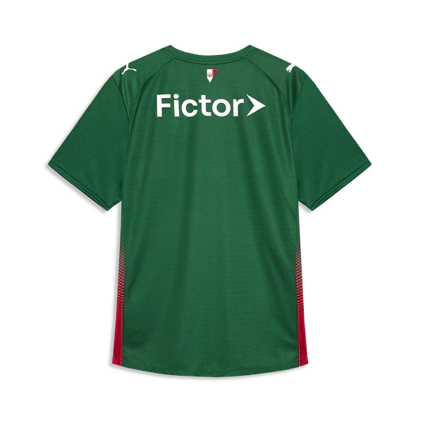Palmeiras 2026 I Home Jersey - Fan Version